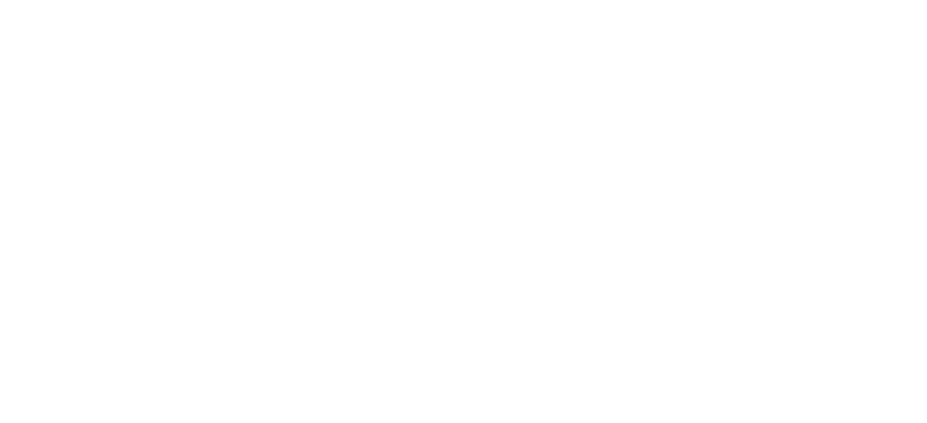 Maxroll and Echo Unite Echo Logo