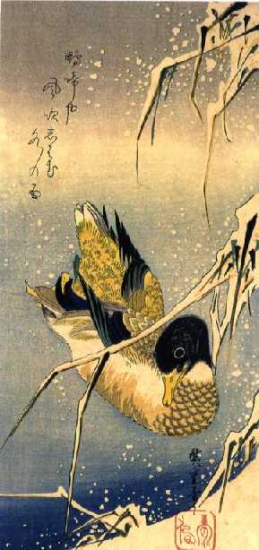 hiroshige_b kachna.jpg